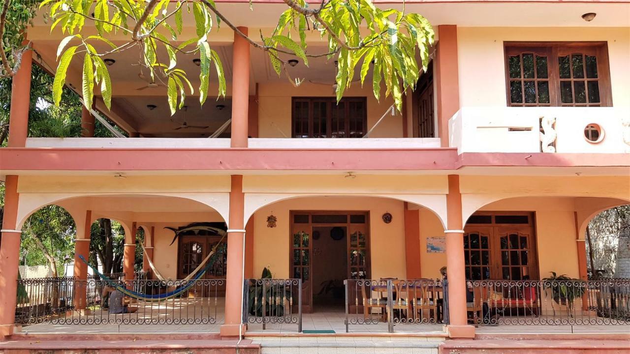 Villa Mango Hostel Puerto Escondido  Eksteriør bilde